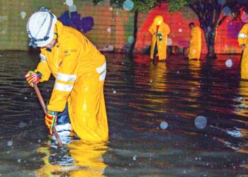 Tormenta del martes dejó 19 viviendas inundadas y 18 árboles caídos