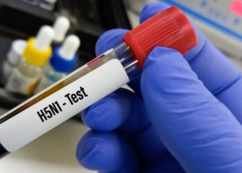 La OMS afirma que el primer caso confirmado de gripe H5N2 en humanos murió por causas multifactoriales