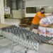 Alas Doradas invertirá $13 millones en el país en 2024-2025