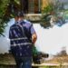 Ministerio de Salud continúa con jornadas de fumigación contra el dengue