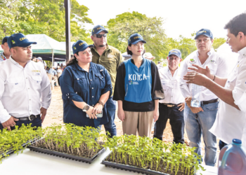 Buscan potenciar la producción de hortalizas en el corredor seco