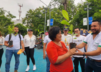 Alcaldía no permitirá a constructoras talar árboles en San Miguel