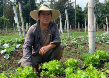Jóvenes agricultores reciben insumos para mejorar su producción