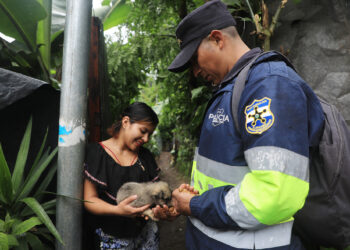 Dan alimentos a caninos que han quedado en las viviendas en Ataco, Ahuachapán
