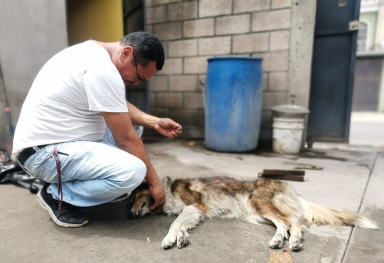 Foto/ Diario El Salvador