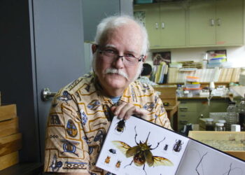 Fallece exintegrante de Alux Nahual, Jack Schuster