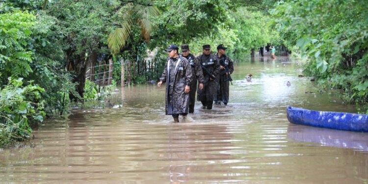 Autoridades se mantienen atendiendo emergencias a causa de las lluvias. Foto: David Martínez