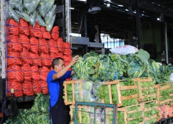 Mayoristas de La Tiendona mantendrán estables los precios de frutas y verduras