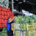 Mayoristas de La Tiendona mantendrán estables los precios de frutas y verduras