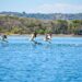 Medio Ambiente impulsa estudios genéticos de preservación de biodiversidad marina