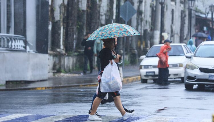 Foto: Diario El Salvador / Sofía Mazariego