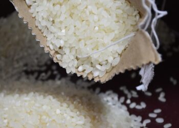 Científicos surcoreanos crean «arroz carnoso» con alto contenido de proteínas