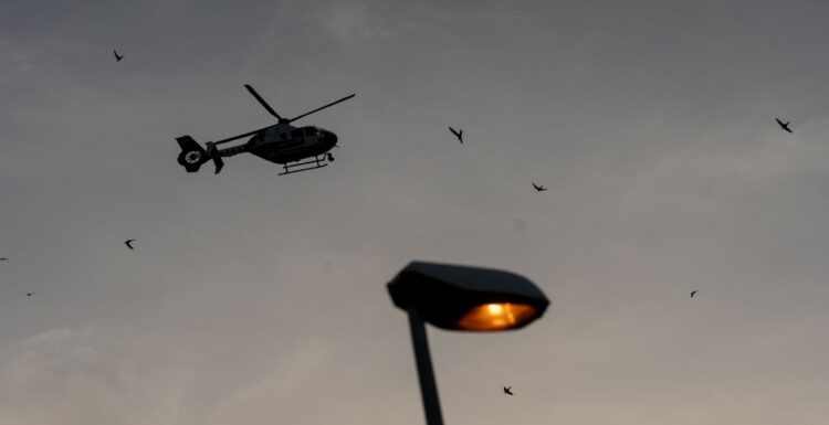 Foto: AFP/ Imagen de referencia