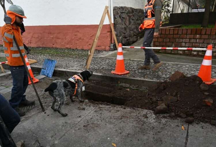 FOTO/ AFP