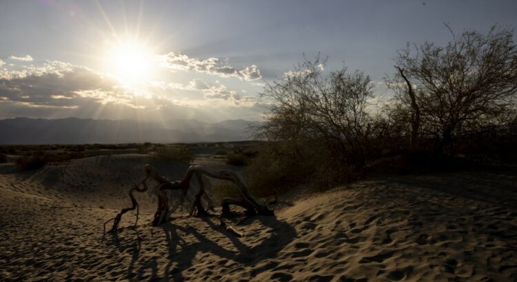 Foto: AFP/ Imagen ilustrativa