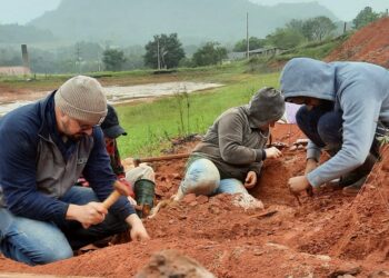 Hallan fósil de dinosaurio de 230 millones de años tras lluvias en sur de Brasil