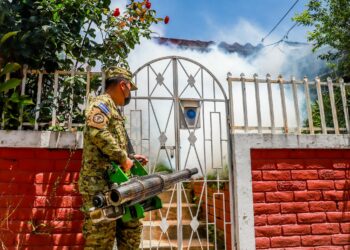 Gobiernos de ARENA y FMLN tuvieron alta letalidad por dengue