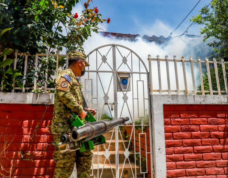 Diferentes instituciones participan en la erradicación y la prevención del dengue. Foto: Diario El Salvador.