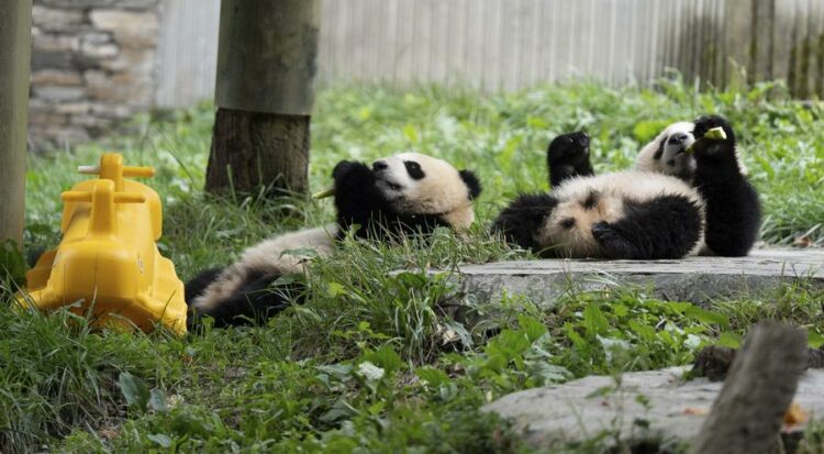 Foto: Xinhua