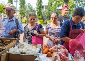 Estas son las verduras que han bajado de precio en El Salvador