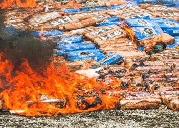 Autoridades destruyen cocaína valuada en más de $19 millones