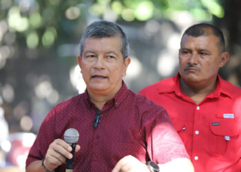 Manuel Flores reconoce que carece de respaldo en el FMLN