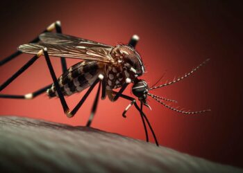 Declaran alerta sanitaria en Panamá ante incremento de casos de dengue