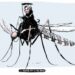 El dengue no es un juego