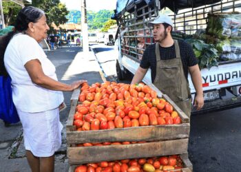 Gobierno de El Salvador activa los martes de mayoreo de verduras a bajo costo