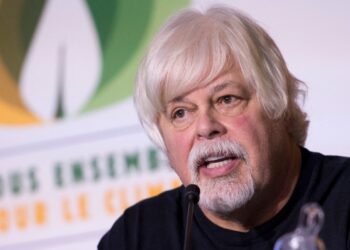 Arrestado en Groenlandia el activista contra la caza de ballenas Paul Watson