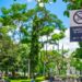 Colocan señalética en zonas libres de ventas del Centro Histórico de San Salvador