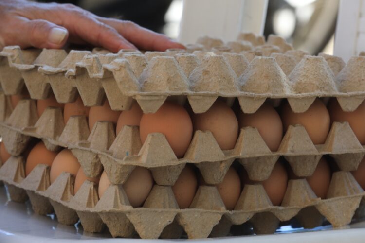 Huevos de gallina es uno de los mercados alimenticios que se analizan.
