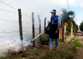 FUNDAGEO impulsa acciones que contribuyen a erradicar el dengue
