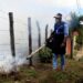 FUNDAGEO impulsa acciones que contribuyen a erradicar el dengue