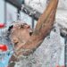 El estadounidense Caeleb Dressel se colgó su octavo oro olímpico en el arranque de natación
