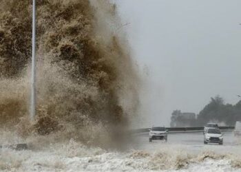 Tifón Gaemi deja más de 620,000 damnificados en este de China