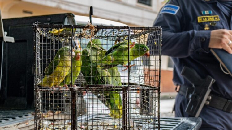 Foto: Diario El Salvador