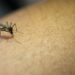 Brasil tiene el semestre más letal de su historia en dengue
