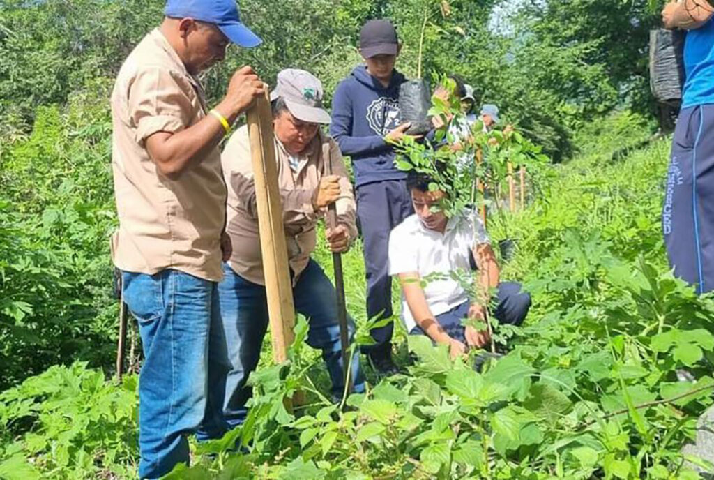 fdep05072024DESreforestancuencadellago03