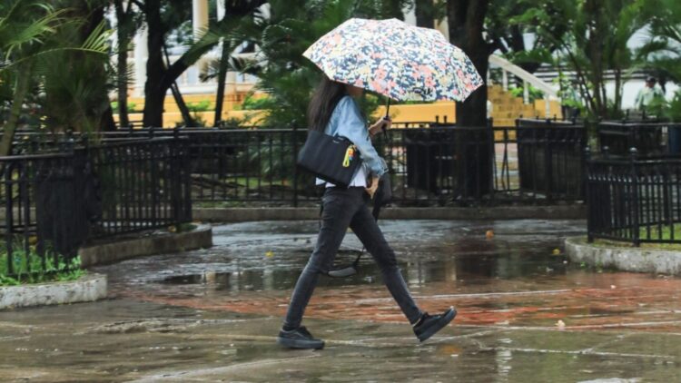 Foto: Sofia Mazariego/ Diario El Salvador