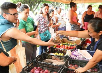 FOTOS: Salvadoreños visitan los mercados de fin se semana abiertos en varias zonas del país