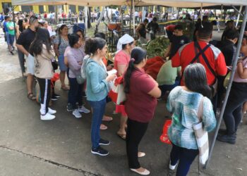 Población continúa acercándose a mercados establecidos por el MAG a escala nacional