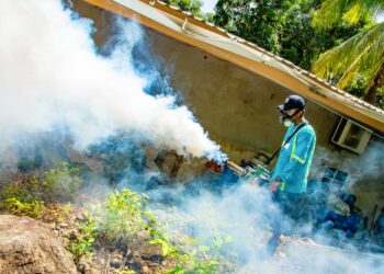 Jornada de fumigación llega hasta las islas del Golfo de Fonseca