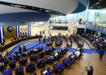 Asamblea ratifica préstamo por $83 millones para planta generadora de energía