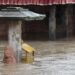 Lluvias torrenciales dejan 14 muertos en Nepal