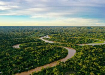 Unión Europea dona 20 millones de euros al Fondo Amazonia contra deforestación